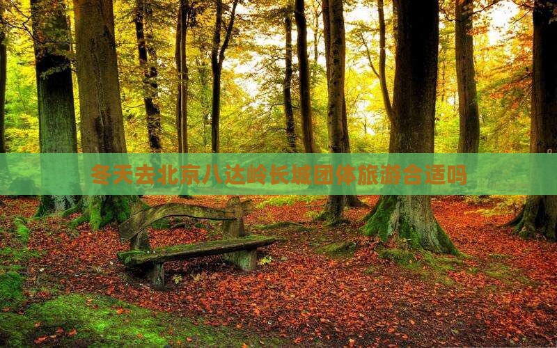 冬天去北京八达岭长城团体旅游