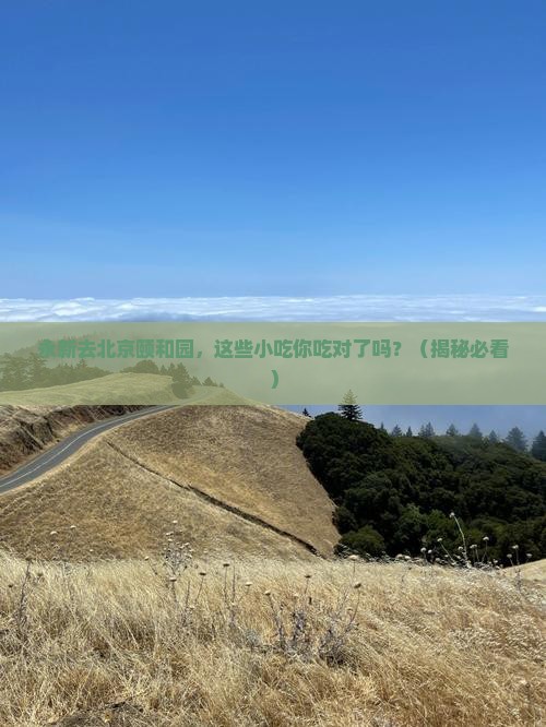 永新去北京颐和园旅游小吃