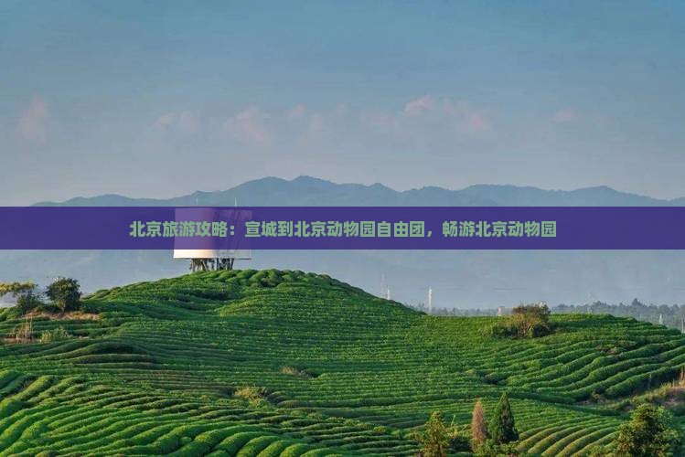 宣城到北京动物园自由团