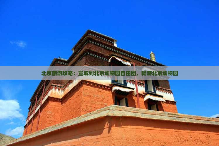 宣城到北京动物园自由团