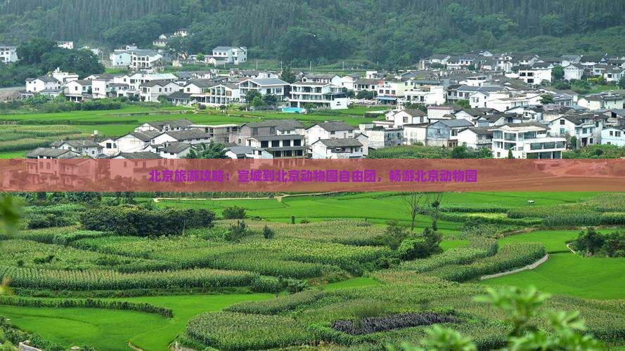 宣城到北京动物园自由团