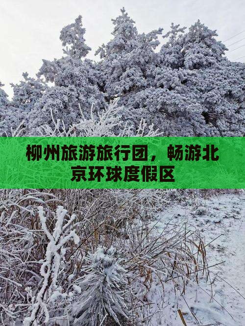 柳州去北京环球度假区大型旅游团