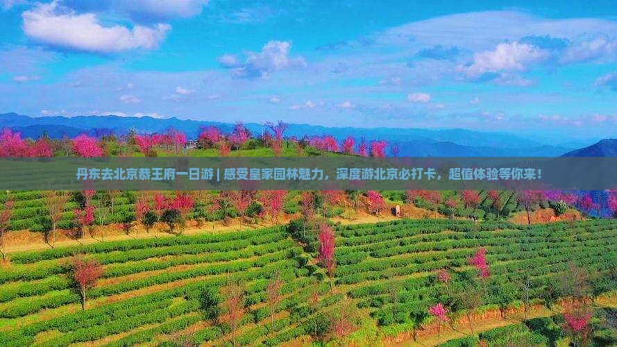 丹东去北京恭王府一日游