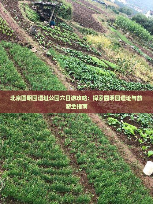 金昌去北京圆明园遗址公园六日游