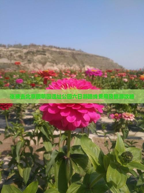 张掖去北京圆明园遗址公园六日游