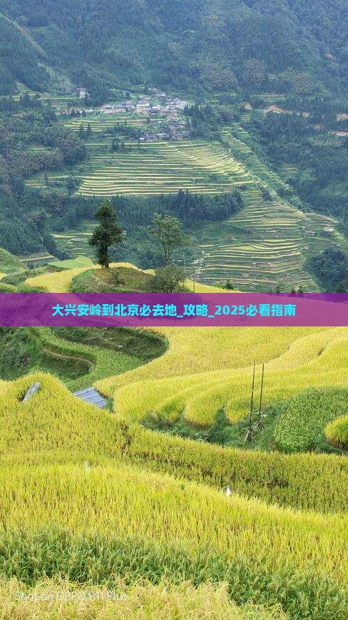 大兴安岭到北京必去地