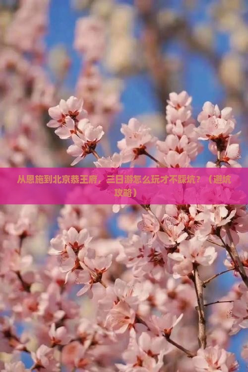 恩施去北京恭王府三日游