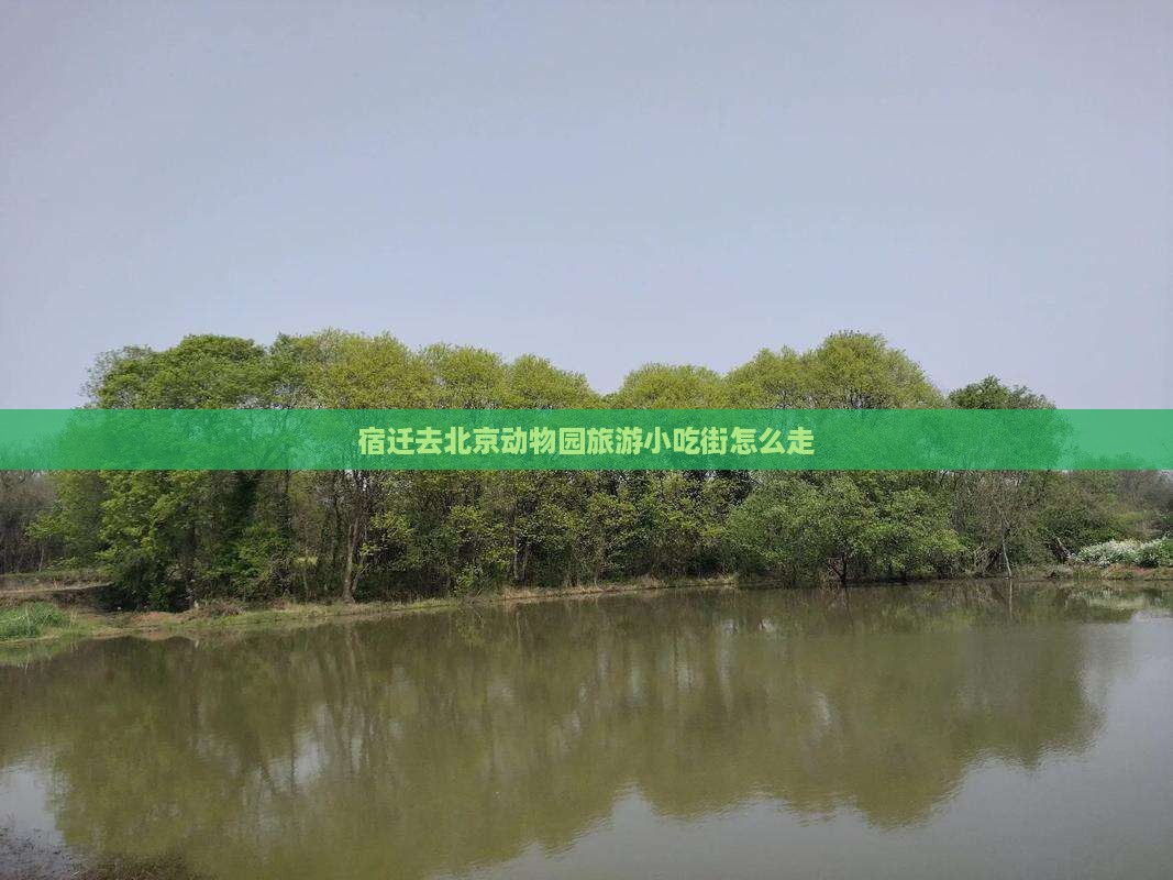 宿迁去北京动物园旅游小吃