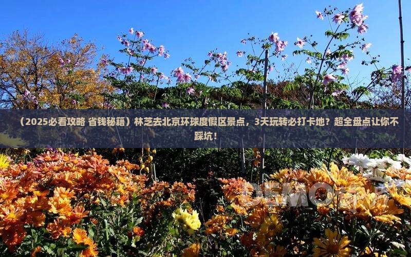 林芝去北京环球度假区景点