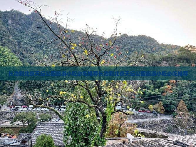 长治到北京天坛公园旅游小吃