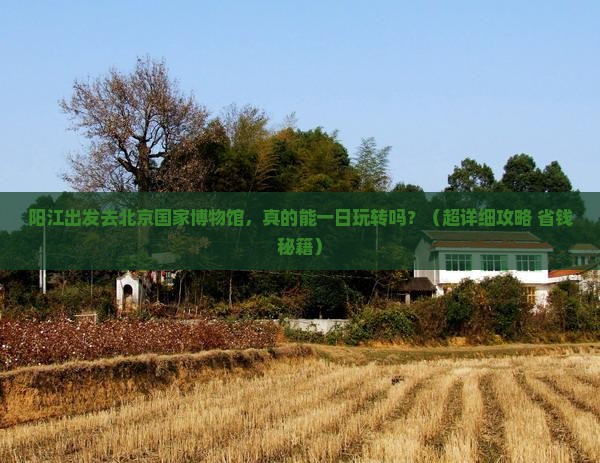 阳江去北京中国国家博物馆一日游