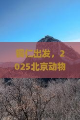 铜仁到北京动物园攻略