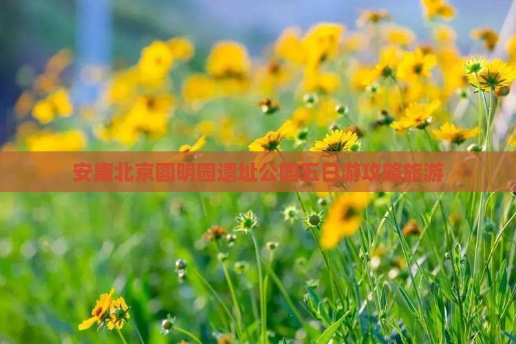 安康去北京圆明园遗址公园五日游