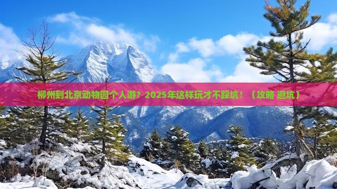 柳州到北京动物园个人游