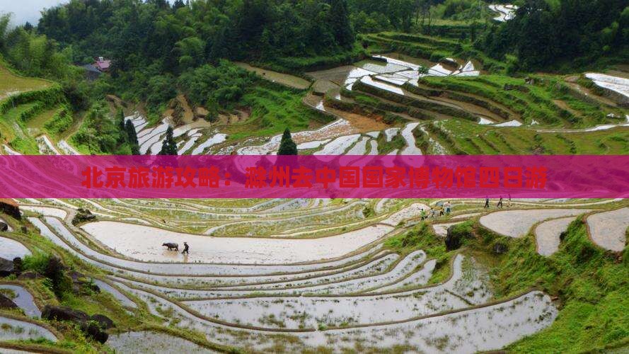 滁州去北京中国国家博物馆四日游