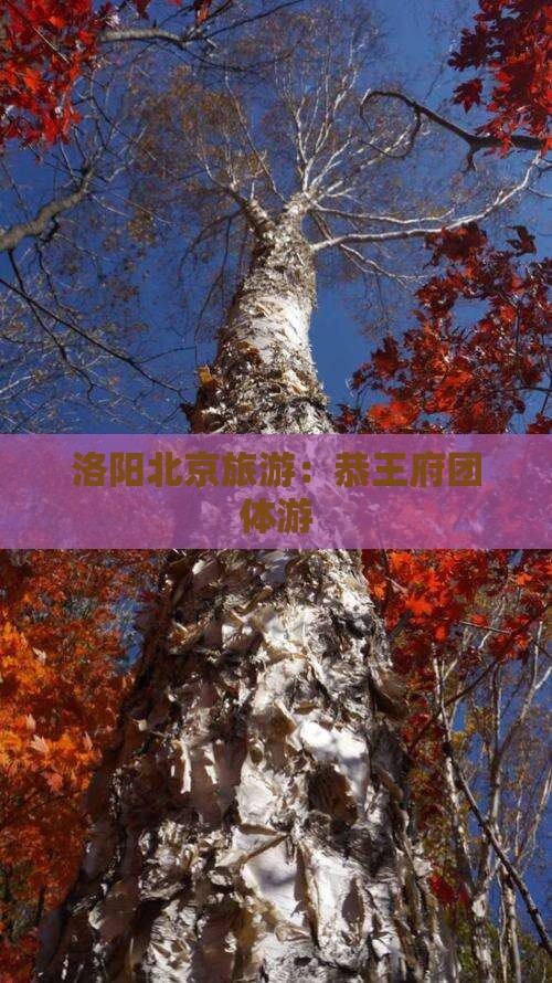 洛阳到北京恭王府团体旅游