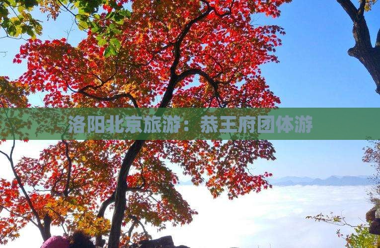洛阳到北京恭王府团体旅游