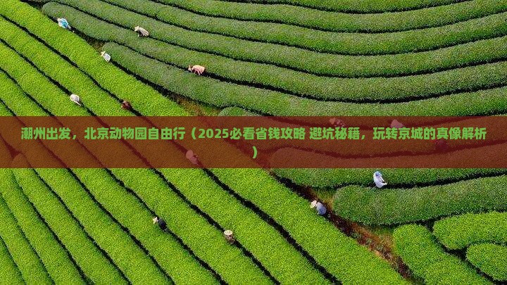 潮州去北京动物园自由团