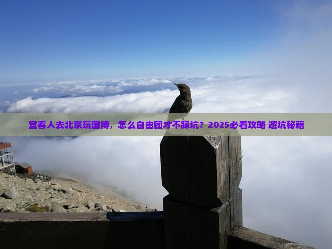 宜春去北京中国国家博物馆自由团