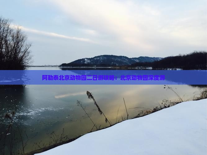 阿泰勒去北京动物园二日游