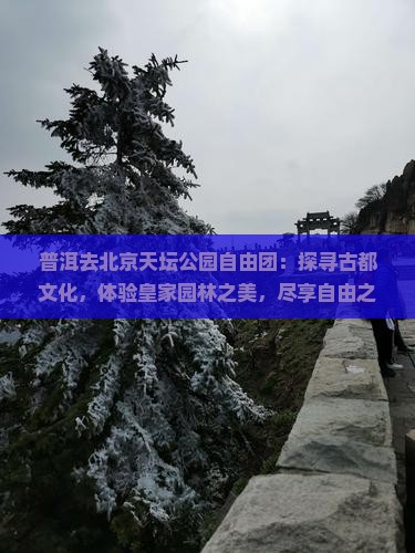普洱去北京天坛公园自由团