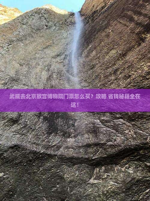 武威去北京故宫博物院门票