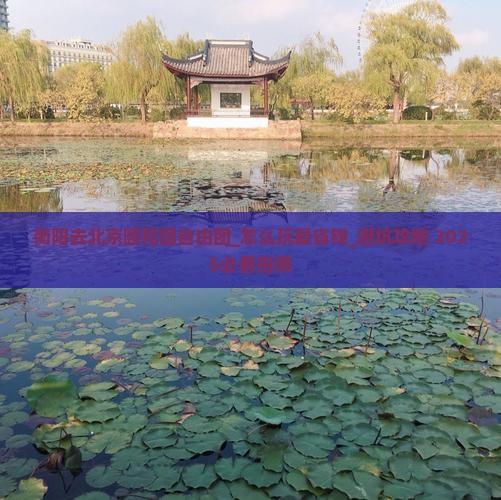 衡阳去北京颐和园自由团