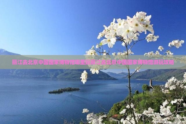 丽江去北京中国国家博物馆哪里玩
