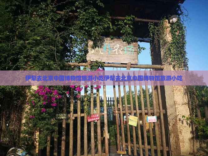 伊犁去北京中国国家博物馆旅游小吃