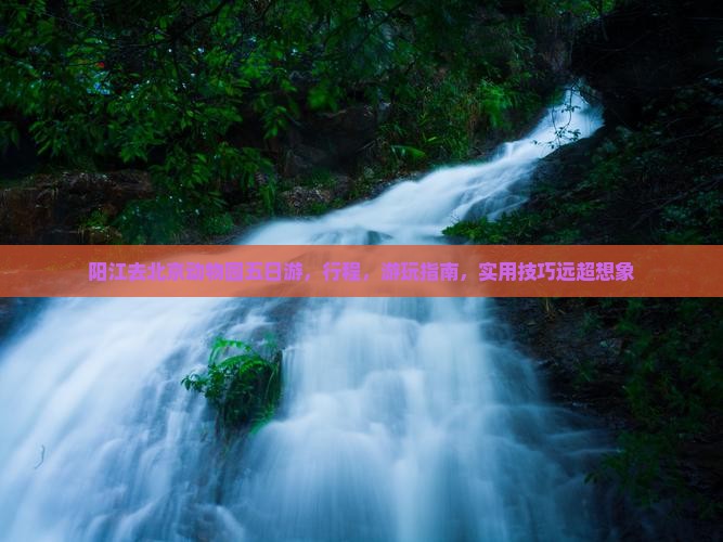 阳江去北京动物园五日游