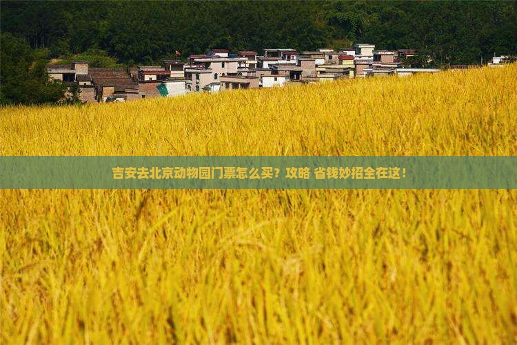 吉安去北京动物园门票