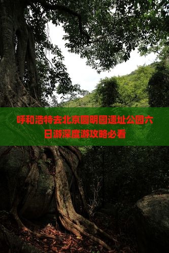 呼和浩特去北京圆明园遗址公园六日游