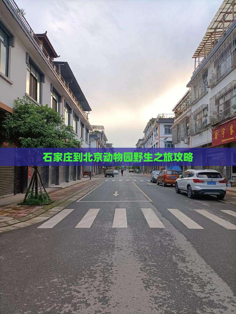 石家庄到北京动物园个人游