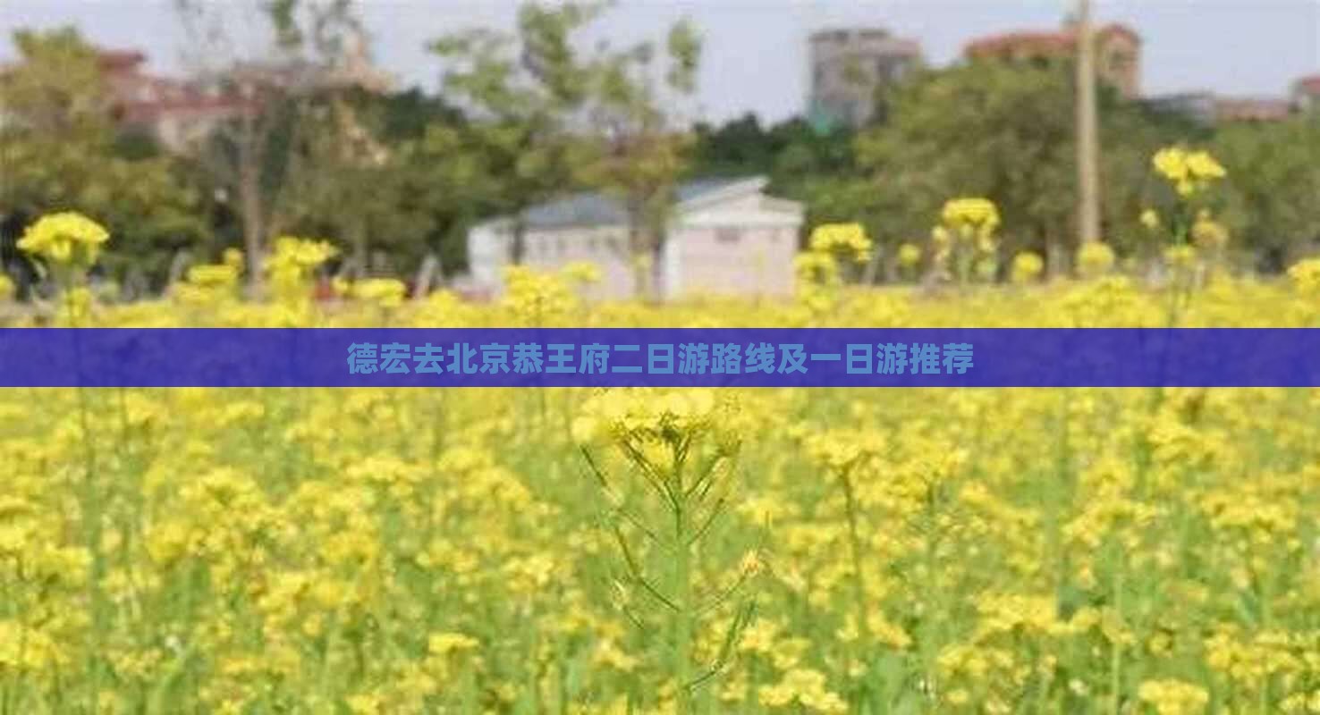 德宏去北京恭王府二日游