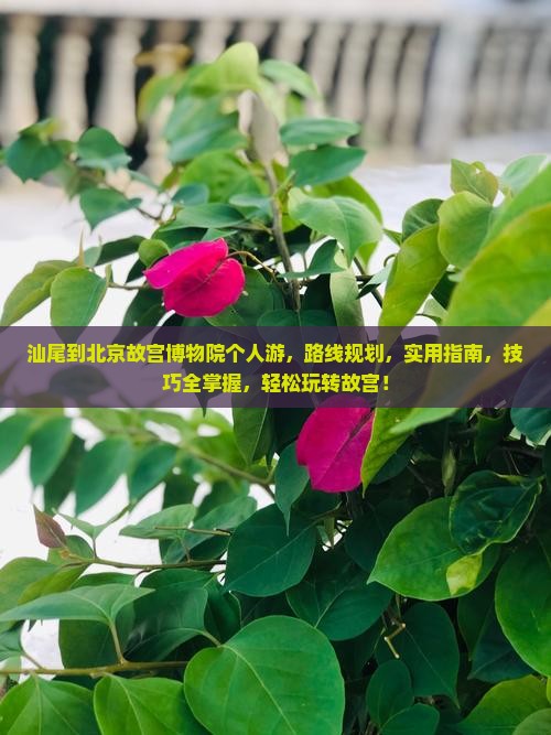 汕尾到北京故宫博物院个人游