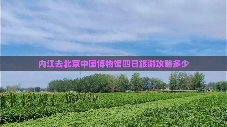 内江去北京中国国家博物馆四日游