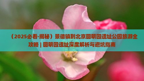 景德镇到北京圆明园遗址公园自由行