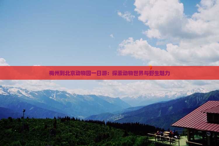 梅州到北京动物园一日游