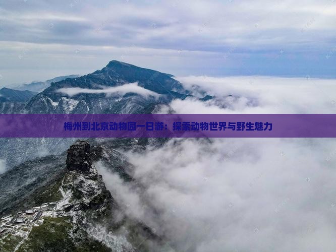 梅州到北京动物园一日游
