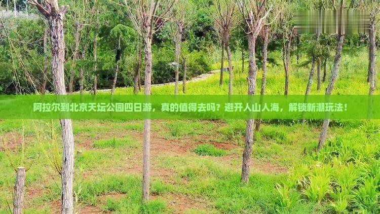 阿拉尔到北京天坛公园四日游