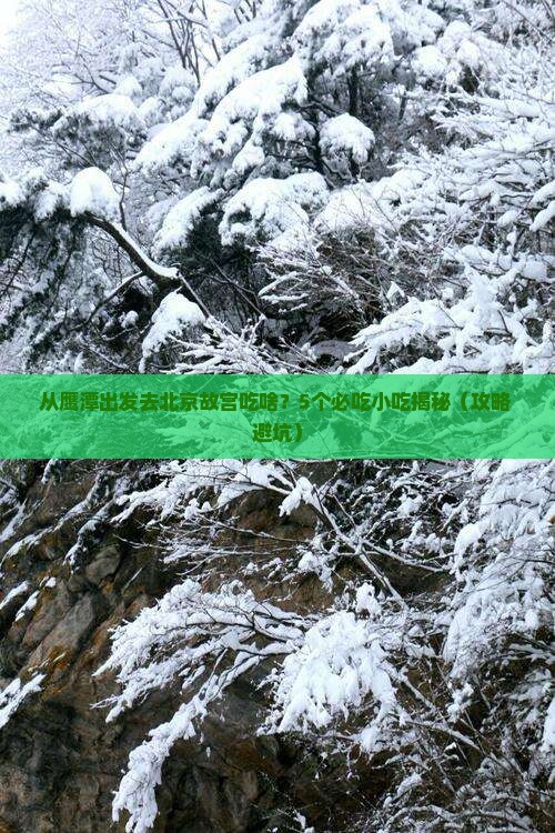 鹰潭去北京故宫博物院旅游小吃