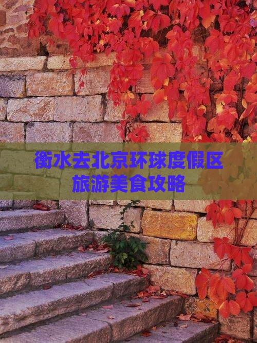 衡水去北京环球度假区旅游小吃