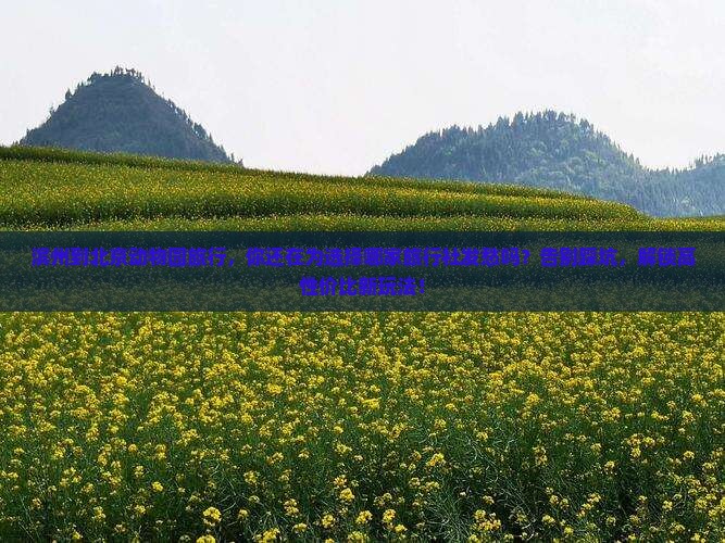 滨州到北京动物园旅行社