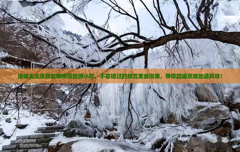 诸城去北京故宫博物院旅游小吃