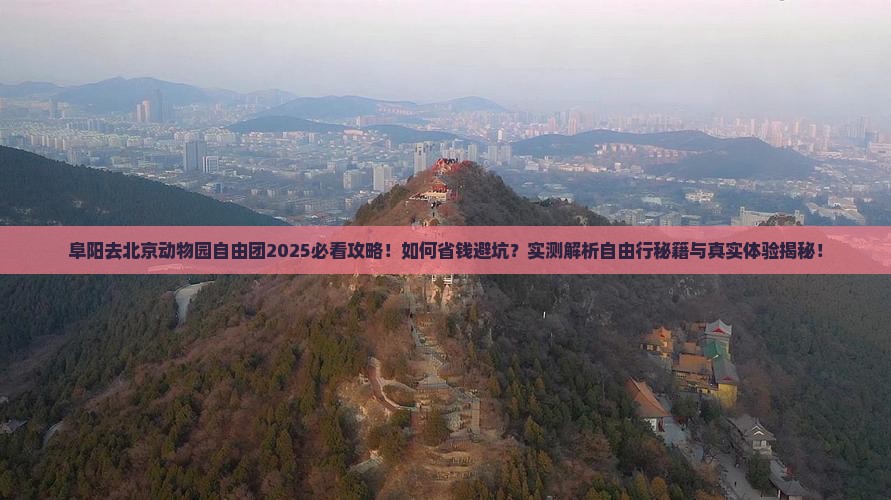 阜阳去北京动物园自由团