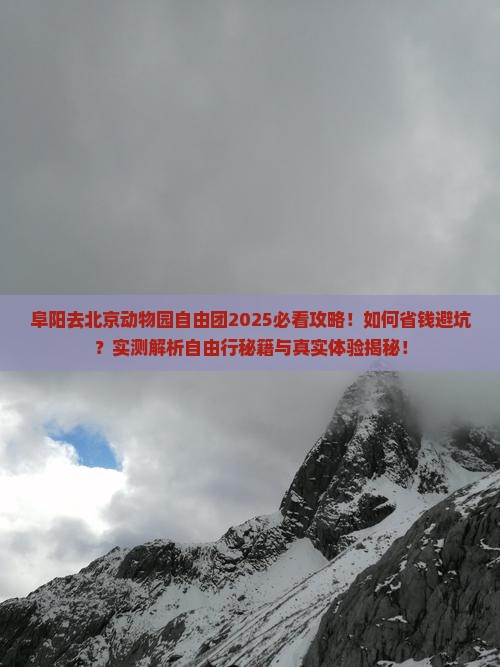阜阳去北京动物园自由团