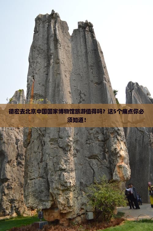 德宏去北京中国国家博物馆旅游