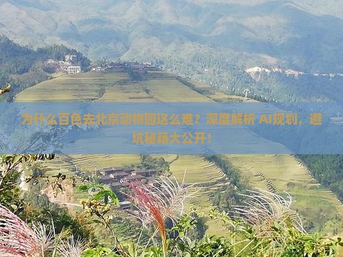 百色到北京动物园攻略