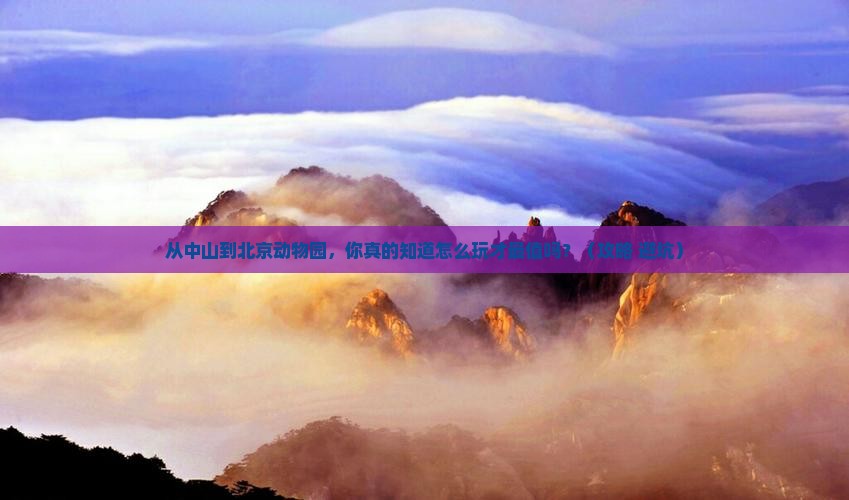 中山到北京动物园景点