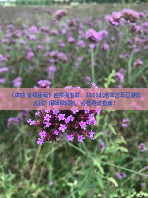 佳木斯到北京故宫博物院五日游